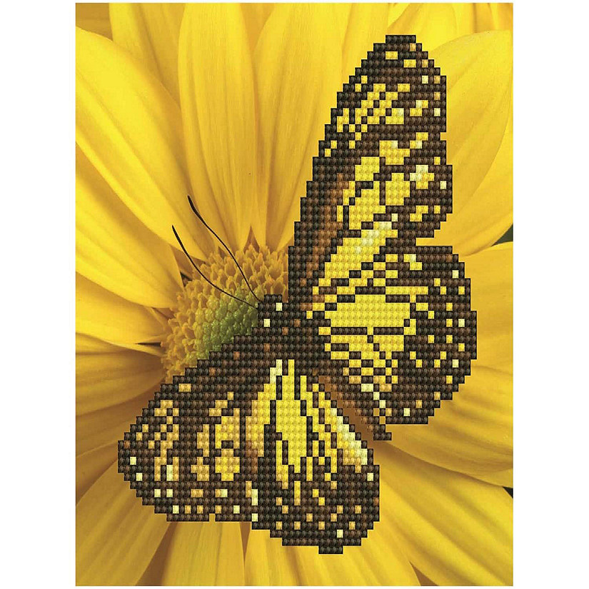 Diamond Art Kit 8x8 Beginner Butterfly