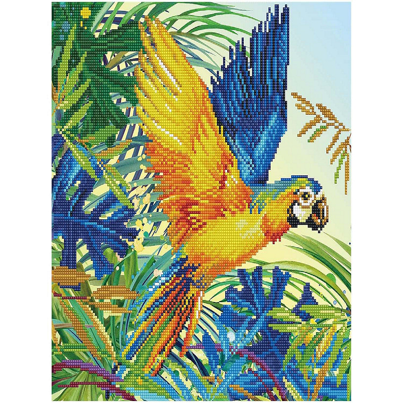 Diamond Dotz Intermediate Kit Tropical Majesty
