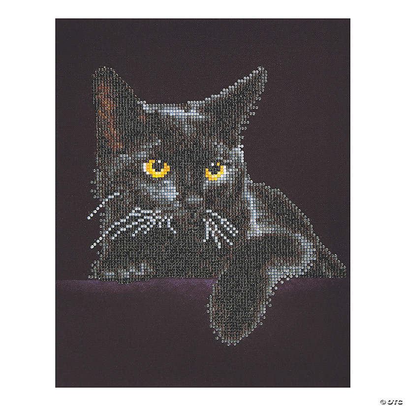 Diamond Dotz-Midnight Cat Image