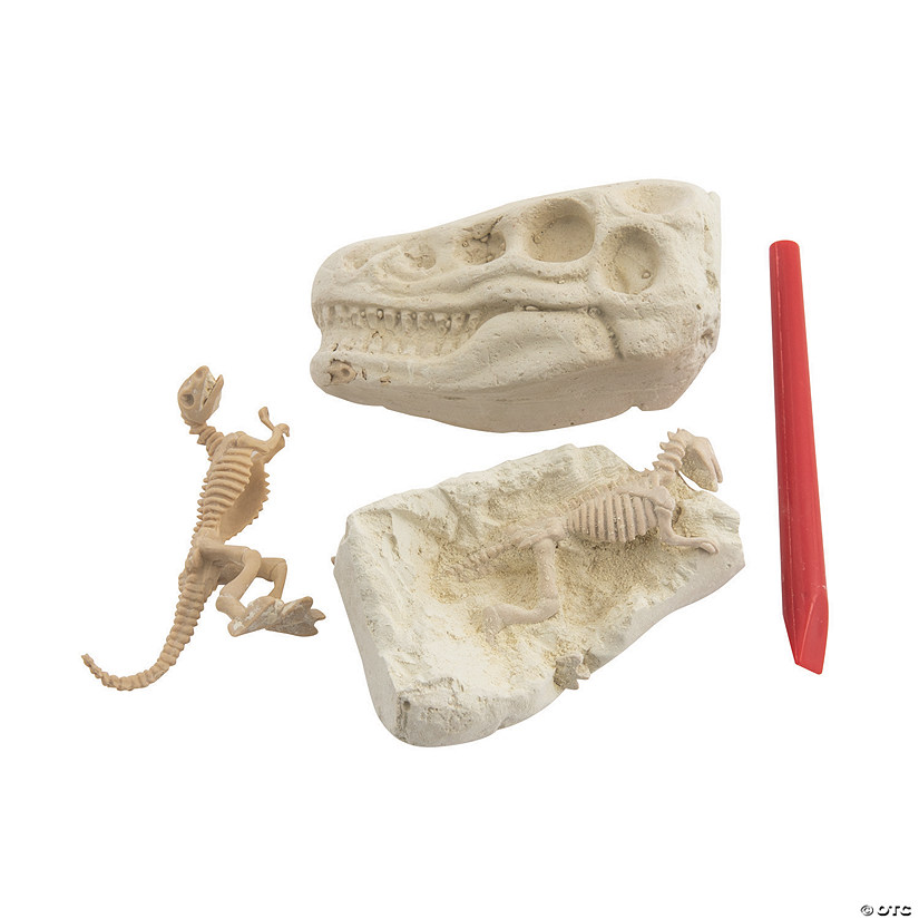 Dig & Discover Excavation Dinosaur Heads - 12 Pc. Image