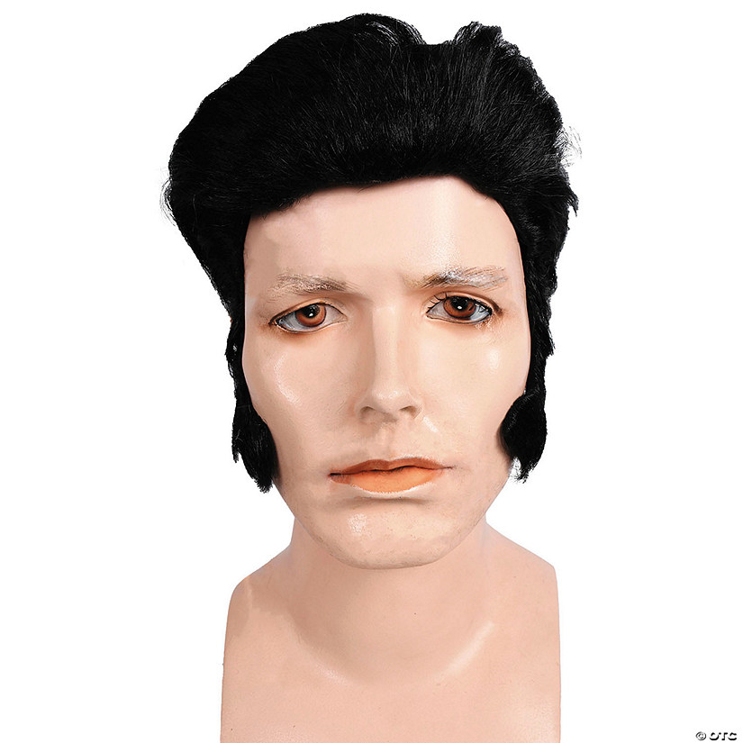 Discount 50's Rocker Wig Image