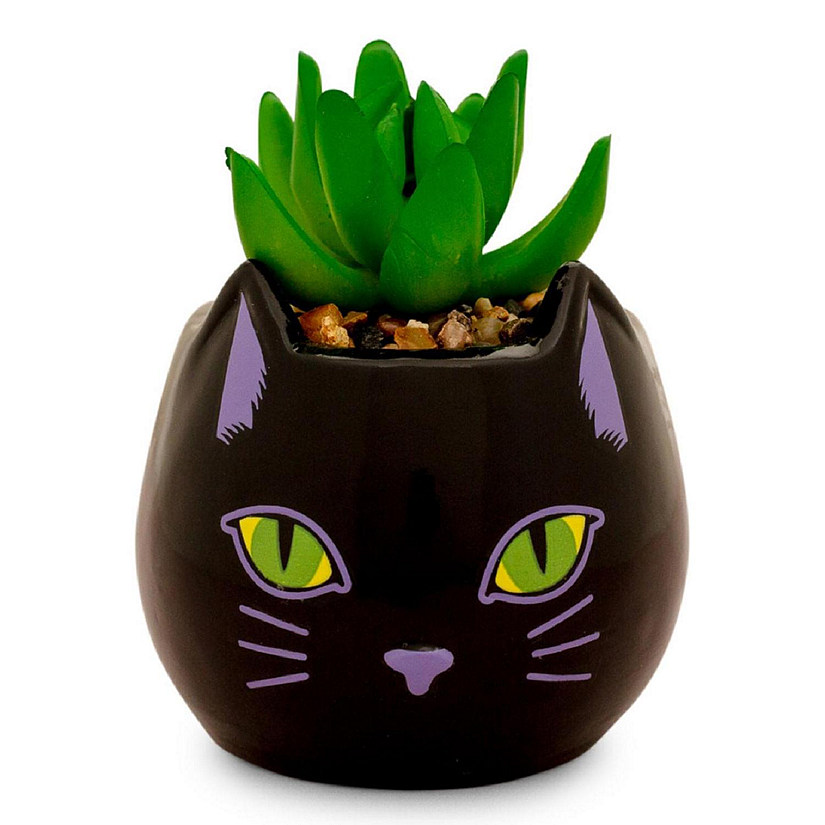 Disney Hocus Pocus "Binx Is My Boo" Ceramic Planter with Artificial Succulent Image