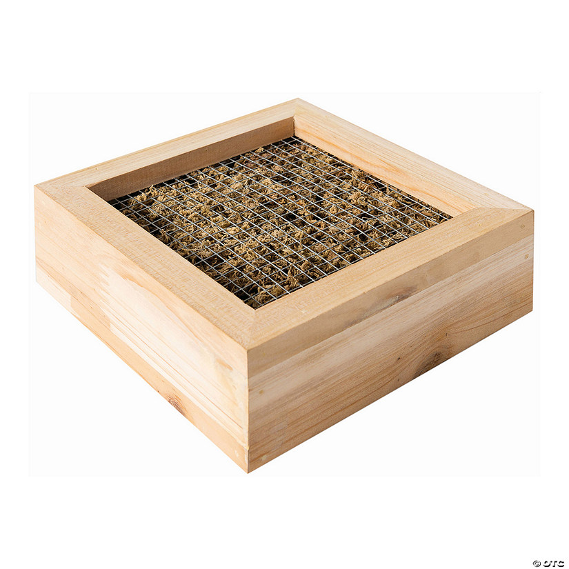 DIY Wood Succulent Frame Image
