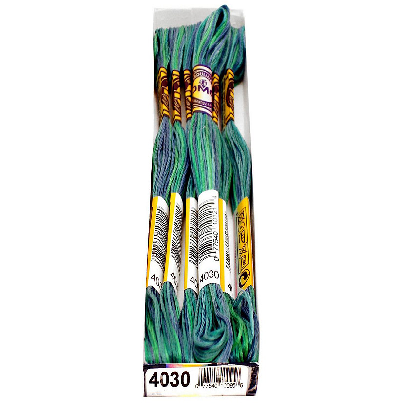 DMC Color Variations Variegated Floss 4030 Oriental Trading