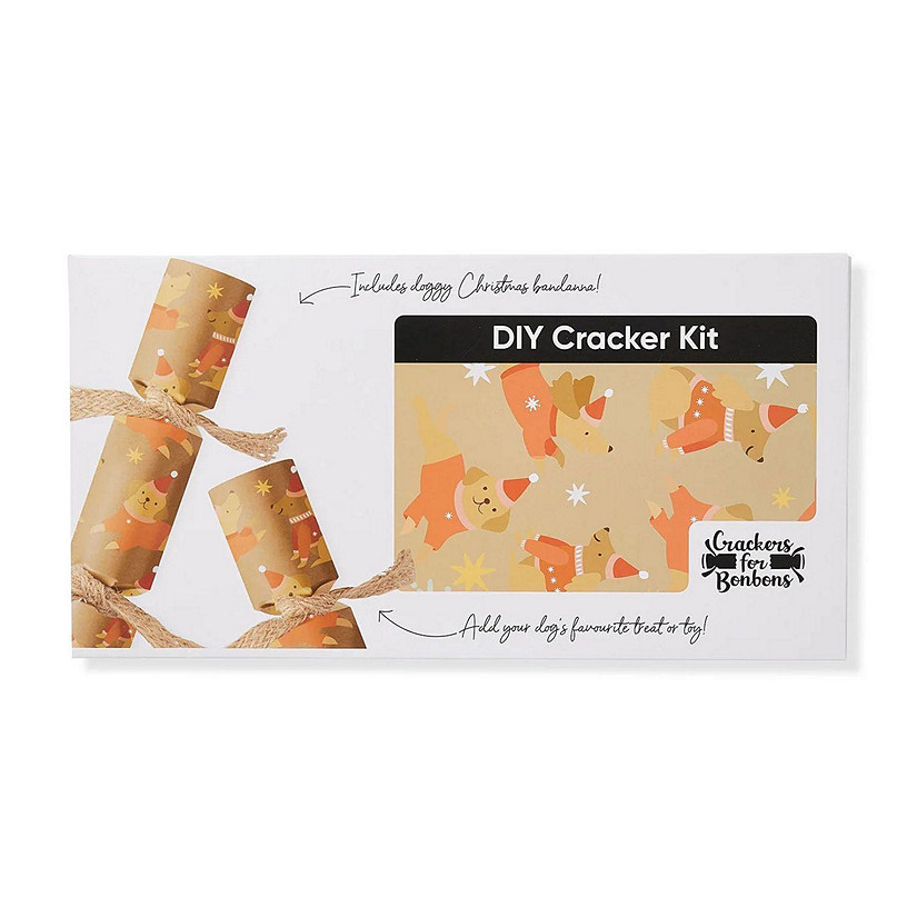 Dog DIY Christmas Party Cracker Flat Pack Kit - 1 pc Image