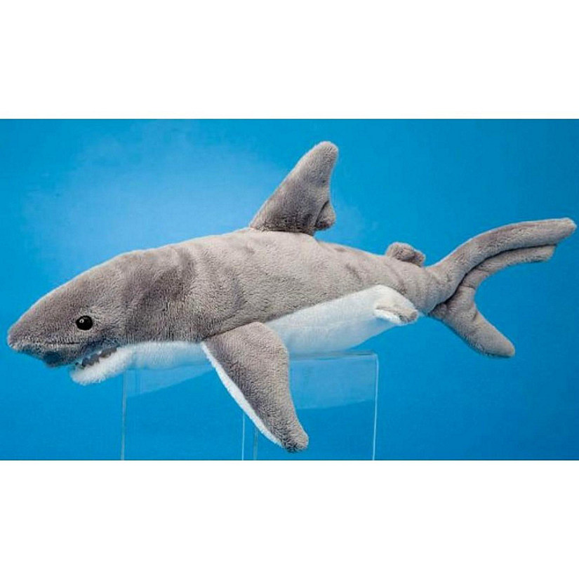 Douglas Iley Shark Image