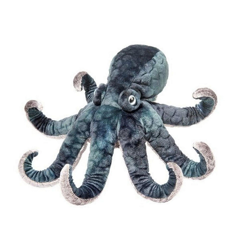 Douglas Winky Octopus Image