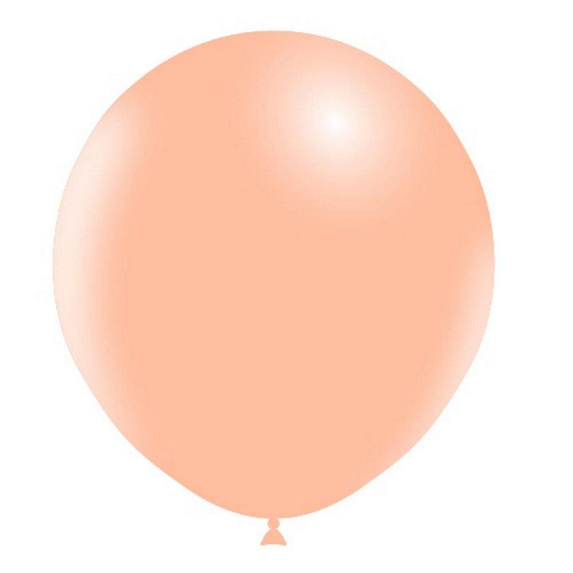 Edge Collections - 18" - Peach Balloons Image