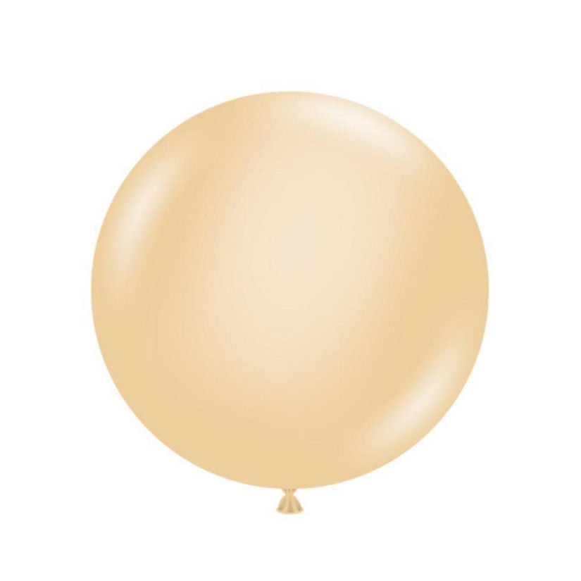 Edge Collections - 5" - Pastel Blush Balloons Image