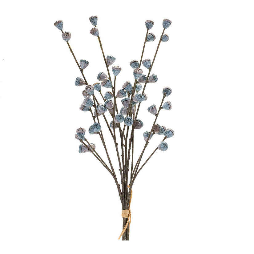 Edge Collections - Blue with Brown - Winter Berry Pod Bundle! Image