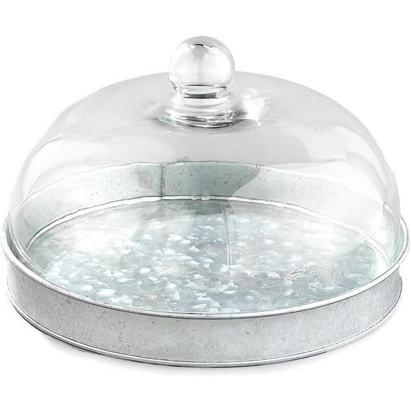 Elegant Galvanized Metal and Glass Cake Dome Server Image