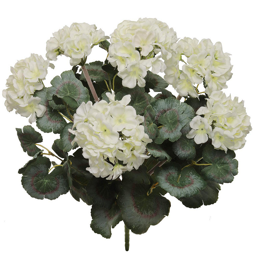 Elegant White 18"Geranium Bush Image