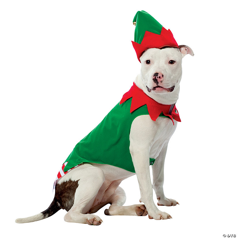 Elf Dog Costume Image