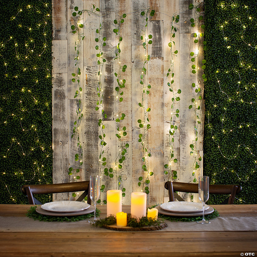 Eucalyptus LED Light Curtains - 3 Pc. Image