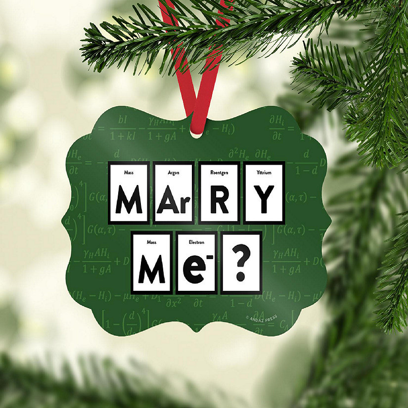Fancy Frame Metal Ornament Marry Me? Image