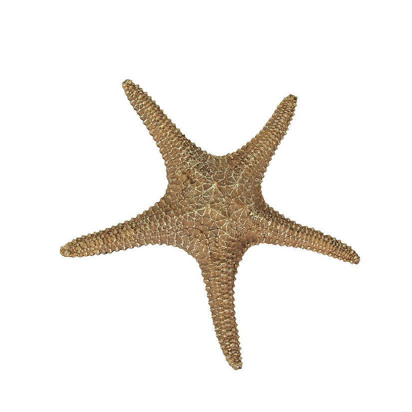 Fancy That 13 Inch Brown Resin Starfish Wall Hanging Sculpture Coastal Home Decor Sea Art Image