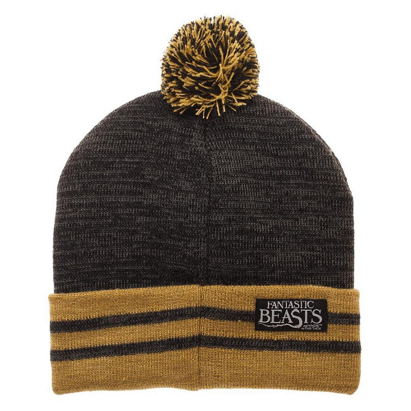 Fantastic Beasts Newt Scamander Pom Beanie Image