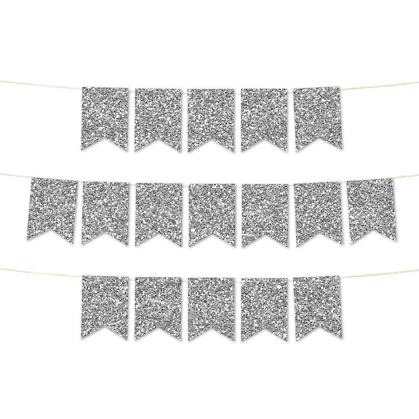 Faux Silver Glitter Pennant Image