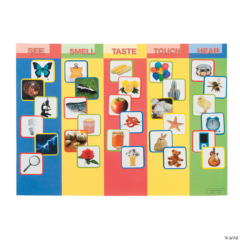 Five Fun Senses Sticker Scenes - 12 Pc.