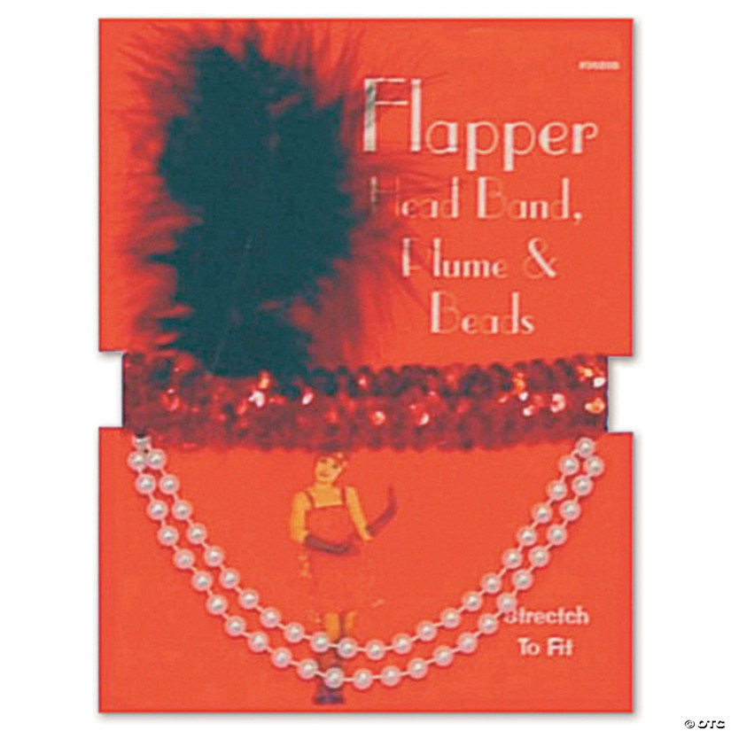 Flapper Headpiece & Necklace Image