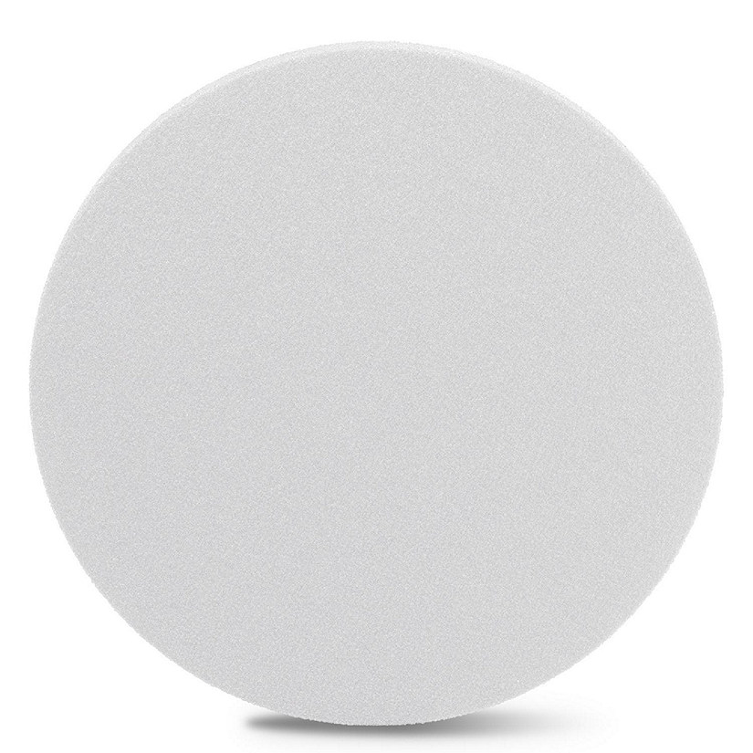 FloraCraft CraftFoM Disc Bulk Pack-1.25"X5.8" Image