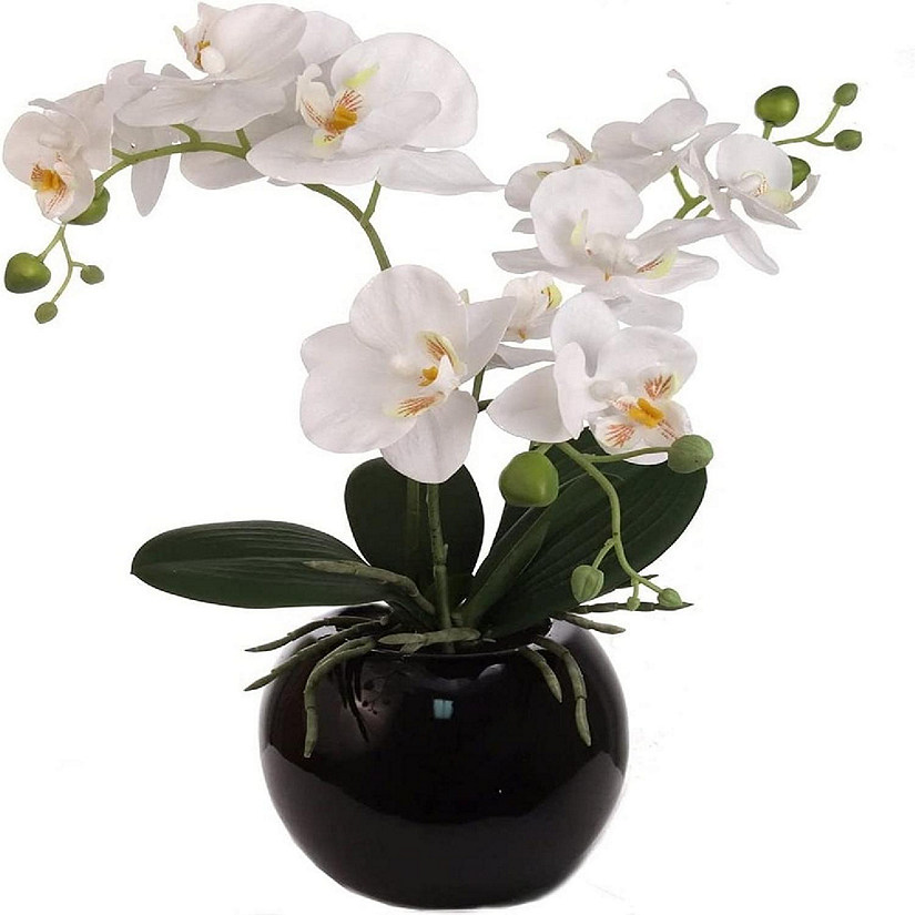 Floral Home 16.5" Black Ceramic Phalaenopsis Orchid 1pc Image