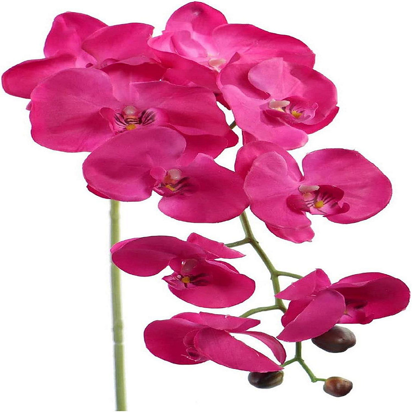 Floral Home Fuchsia 33.5" Artificial Phalaenopsis Orchid Stems 2pcs Image