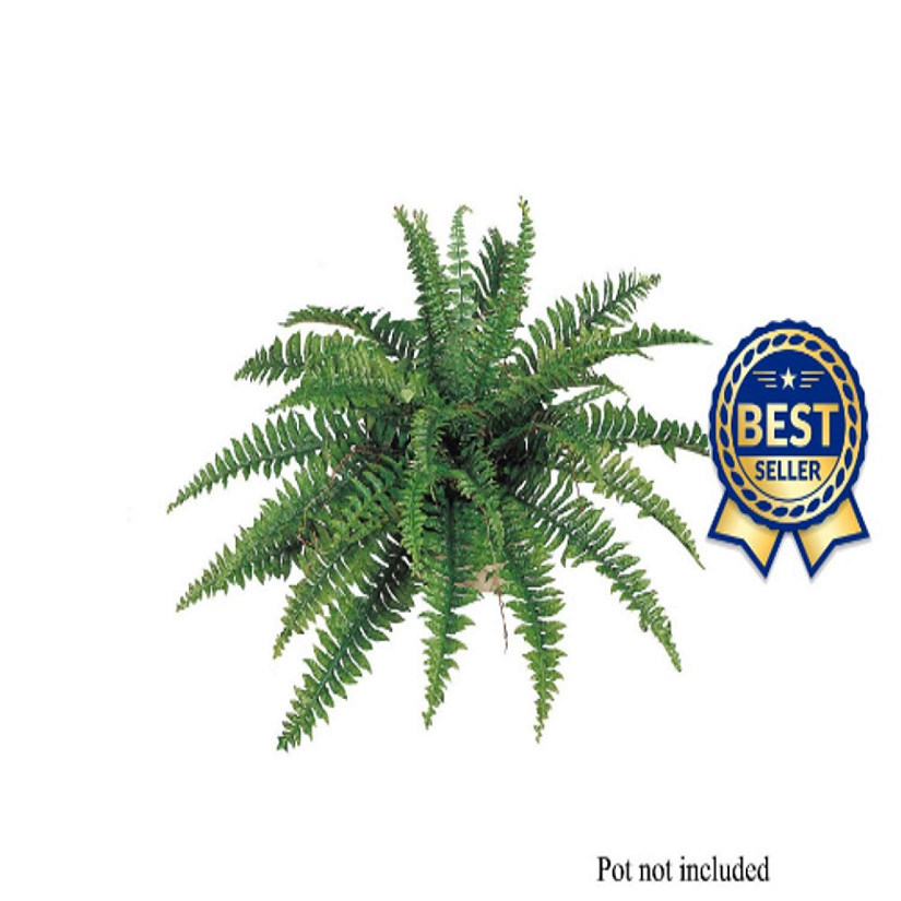 Floral Home Green 35 Fronds Boston Fern Plant 2pcs Image