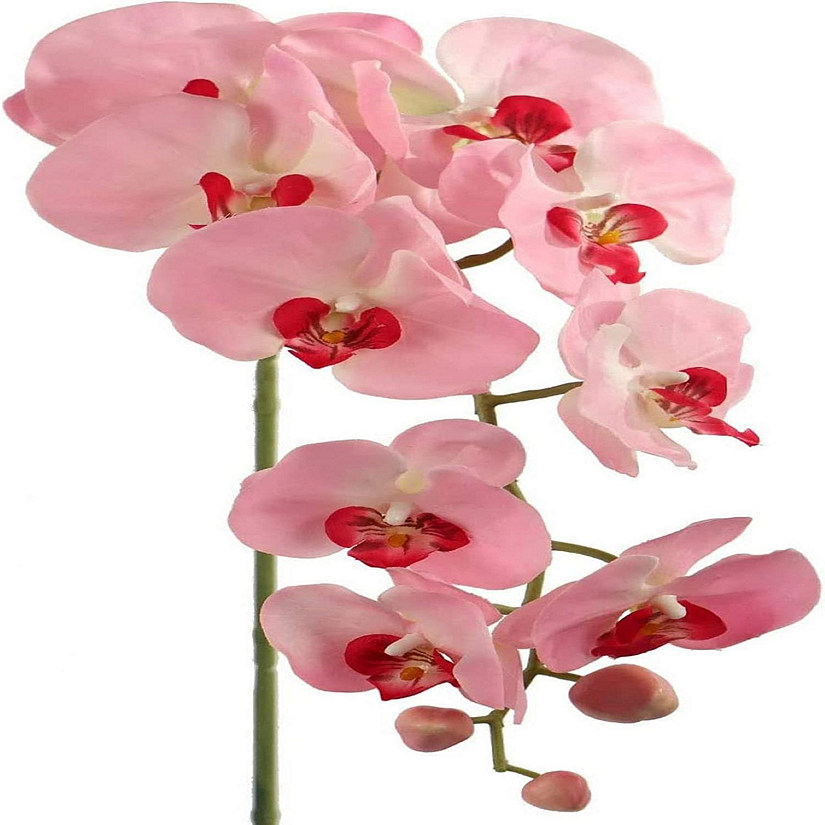Floral Home Pink 33.5" Artificial Phalaenopsis Orchid Stems 2 Image