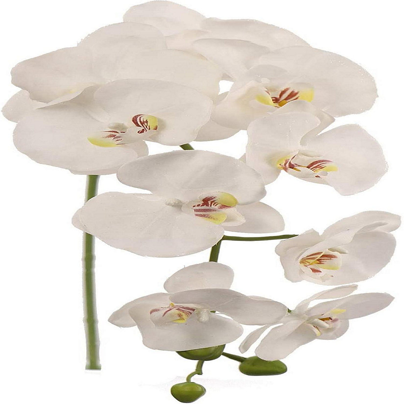 Floral Home White 33.5" Artificial Orchid Stem 2pcs Image