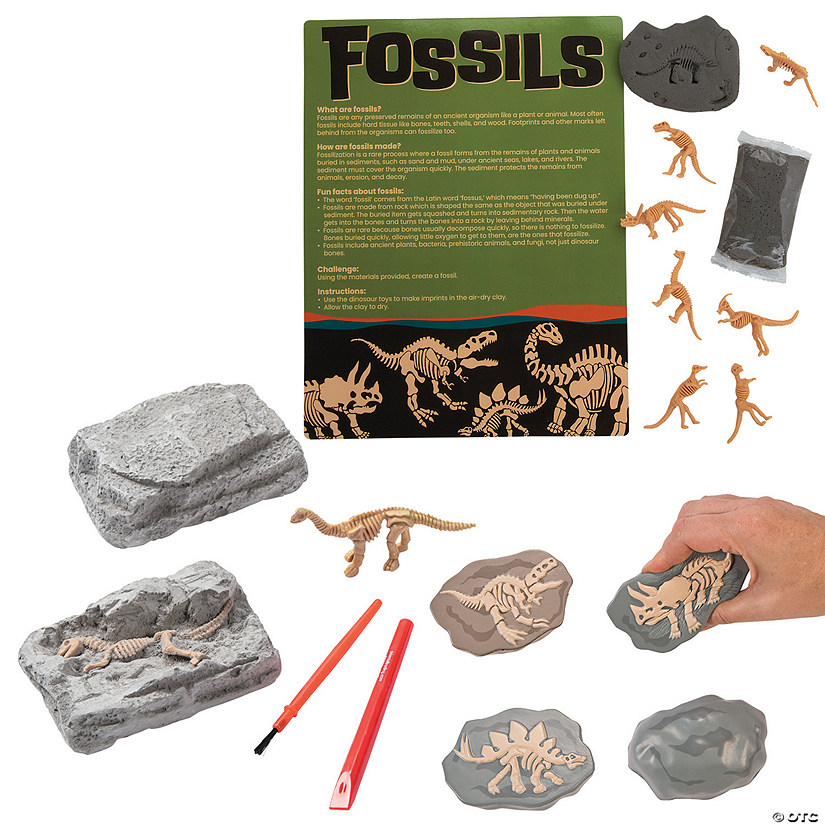 Fossil Kit for 12 Image