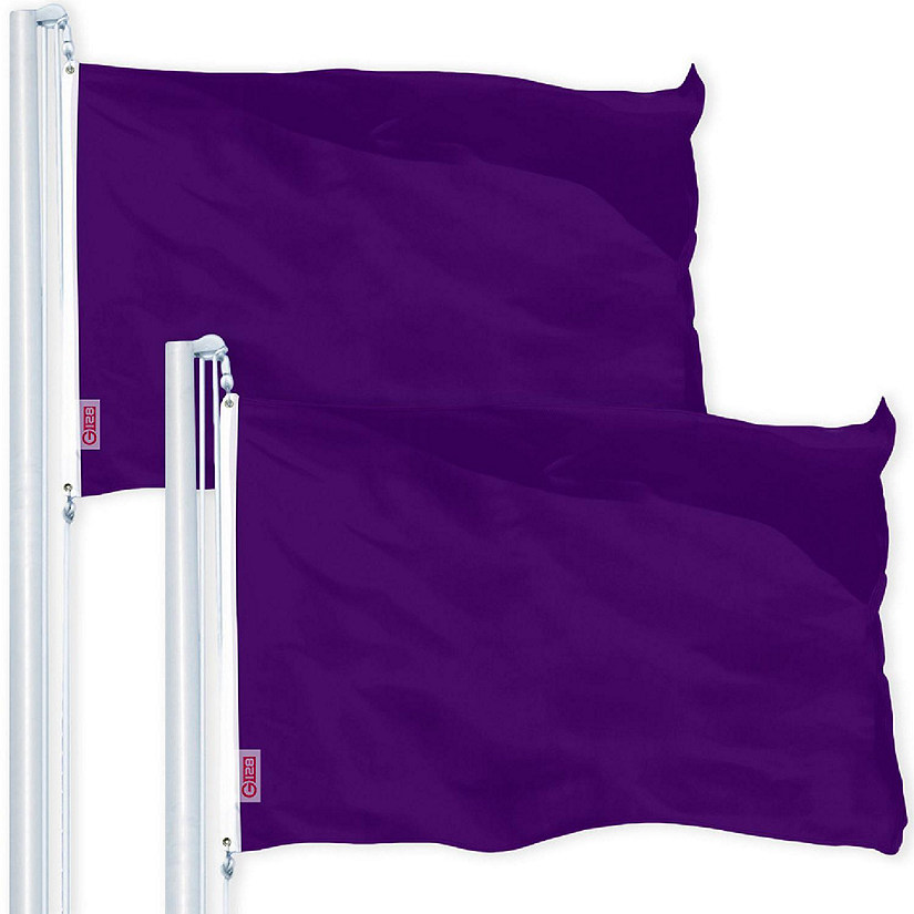G128 4x6ft 2PK Solid Purple Printed 150D Polyester Brass Grommets Flag Image