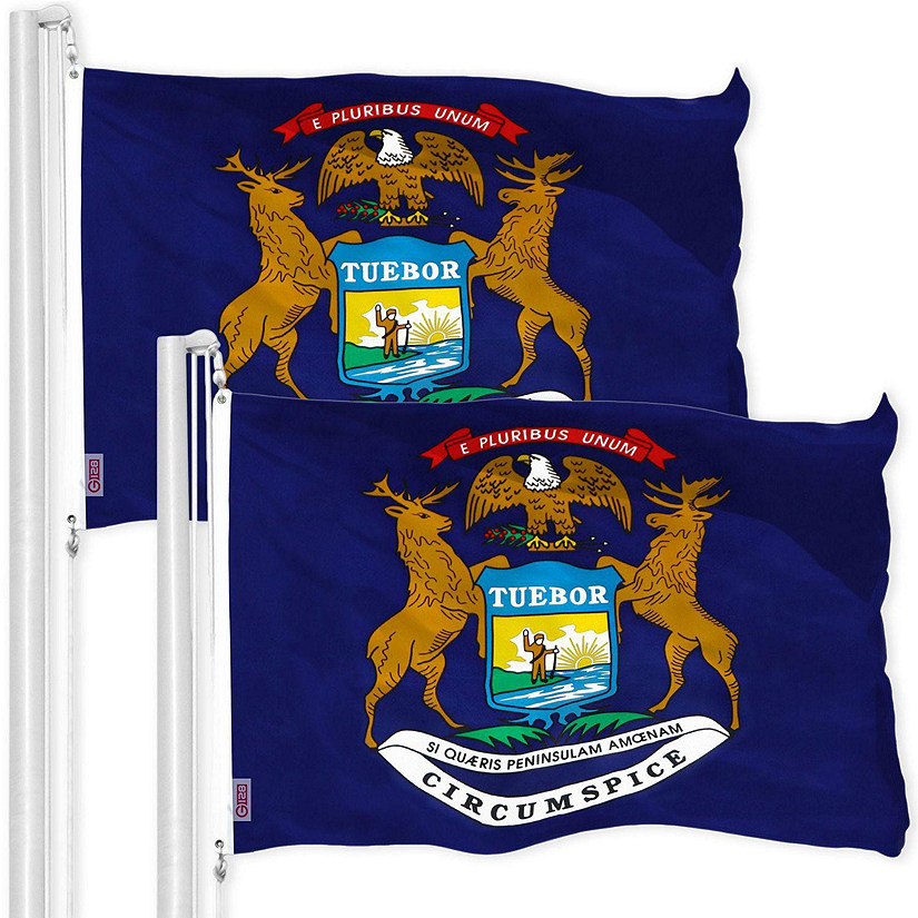 G128 - Michigan MI State Flag 3x5FT 2 Pack 150D Printed Polyester Image