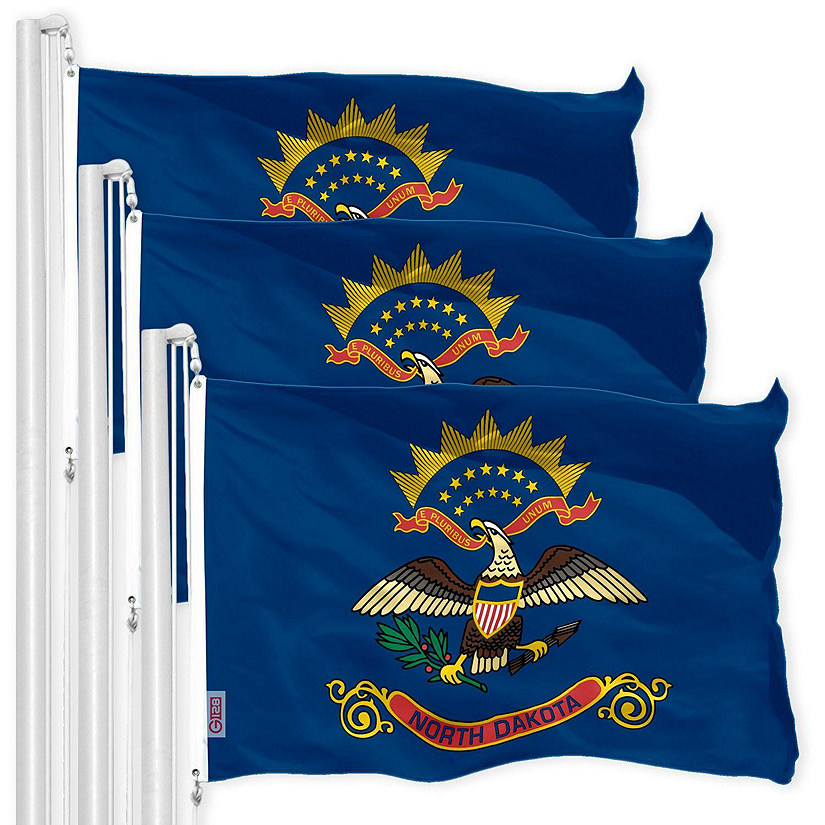 G128 - North Dakota ND State Flag 3x5FT 3 Pack 150D Printed Polyester Image