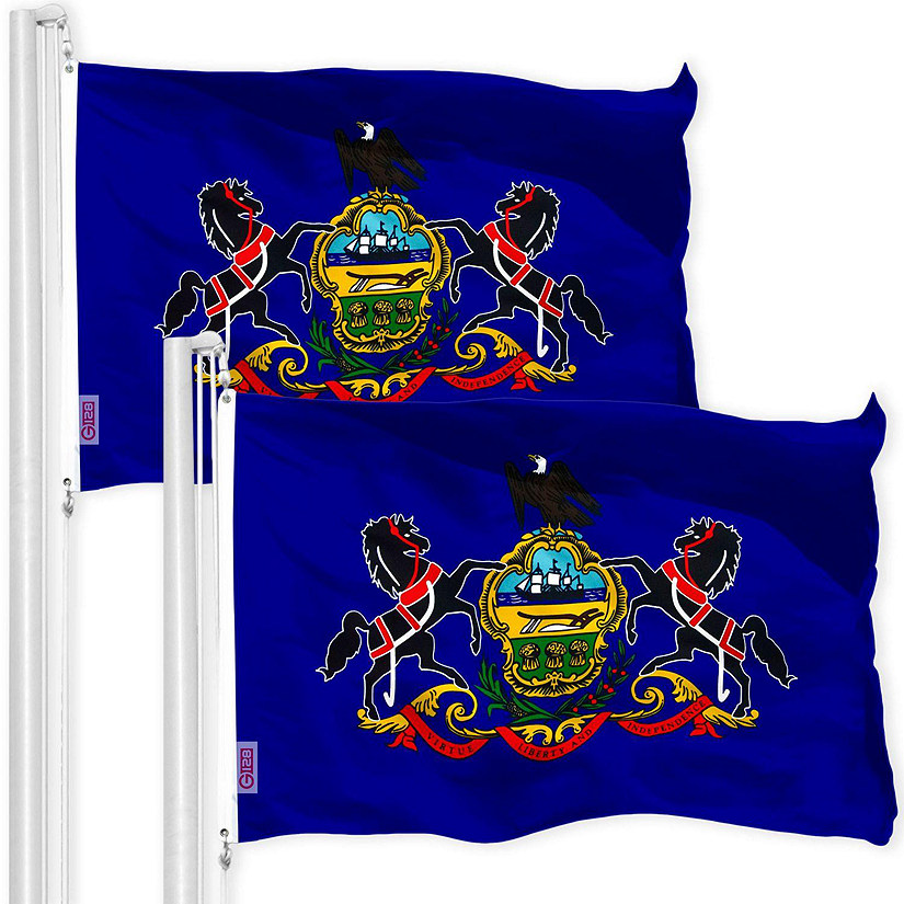 G128 - Pennsylvania PA State Flag 3x5FT 2 Pack 150D Printed Polyester Image