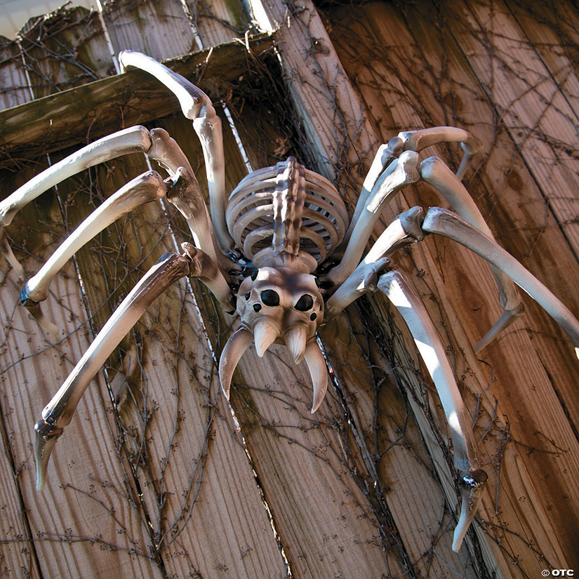 Giant Spider Skeleton Halloween Decoration Image
