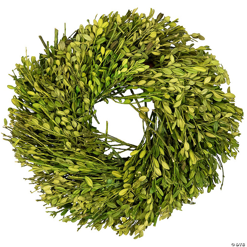 Green Foliage Artificial Spring Wreath  10-Inch Image