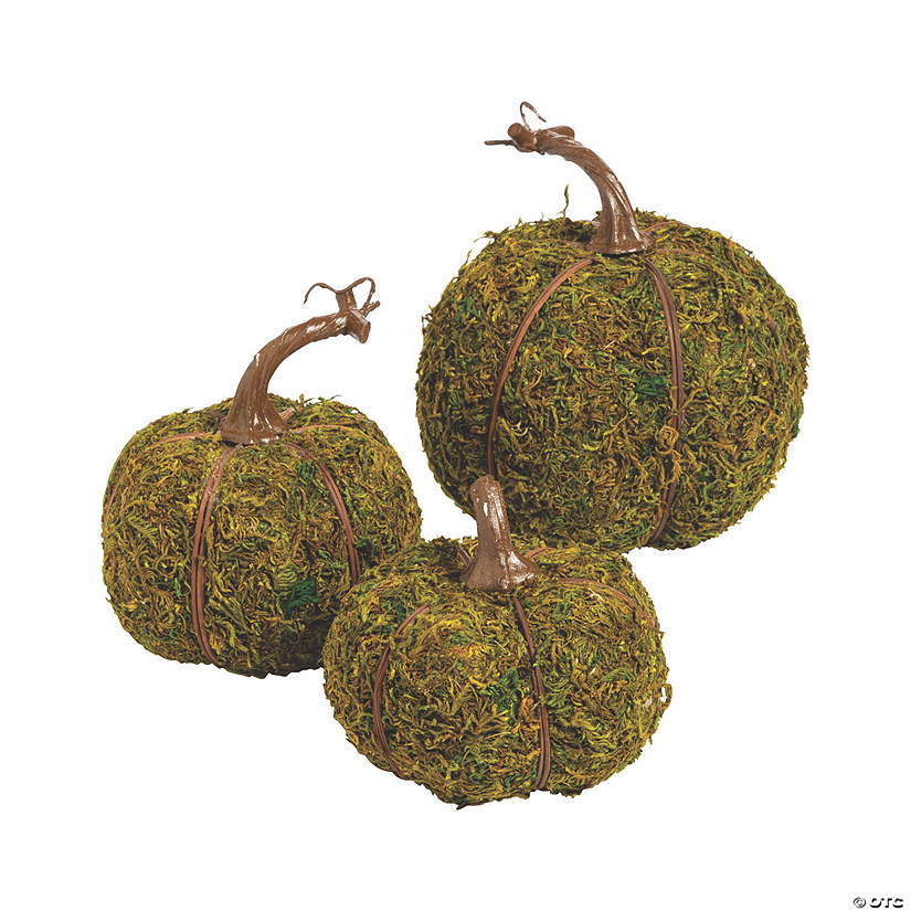 Halloween Moss Pumpkins Oriental Trading