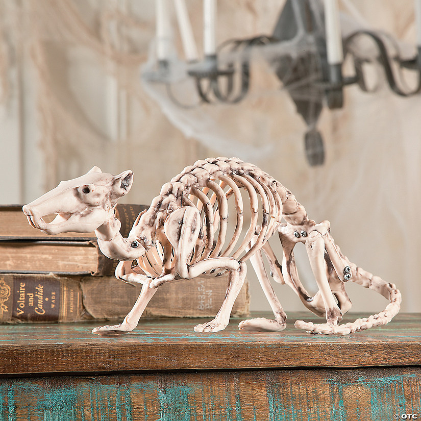 Halloween Skeleton Rat Halloween Décor Discontinued