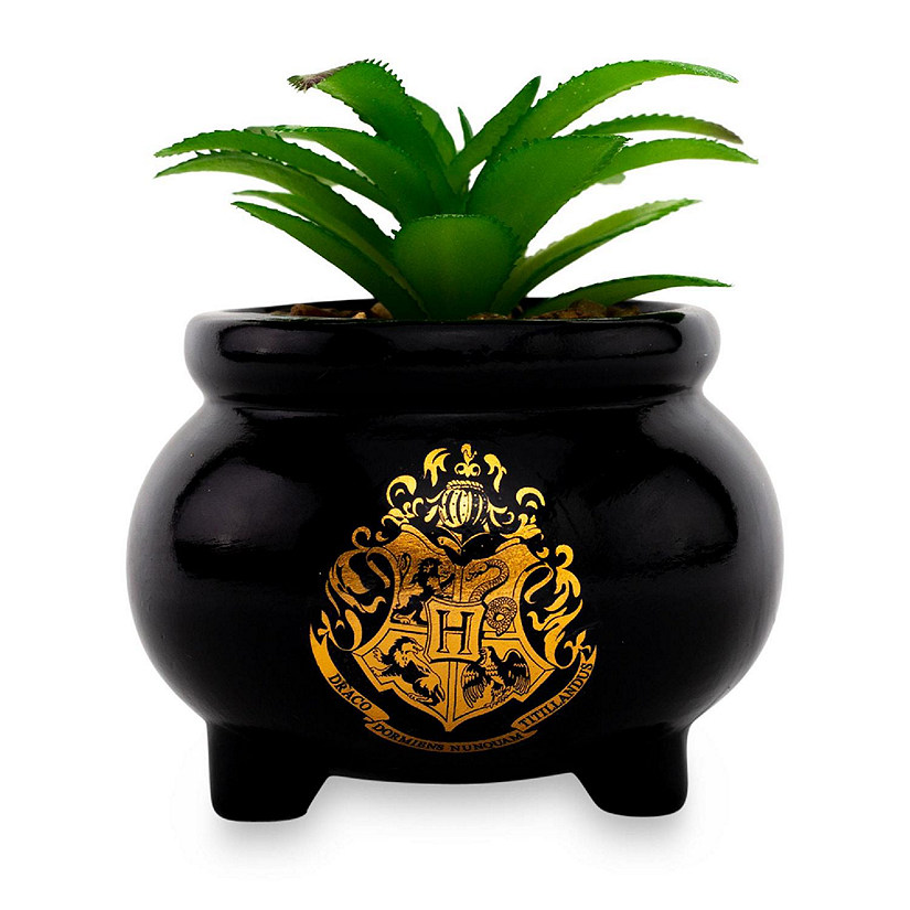 Harry Potter Hogwarts Cauldron Ceramic Mini Planter With Artificial Succulent Image