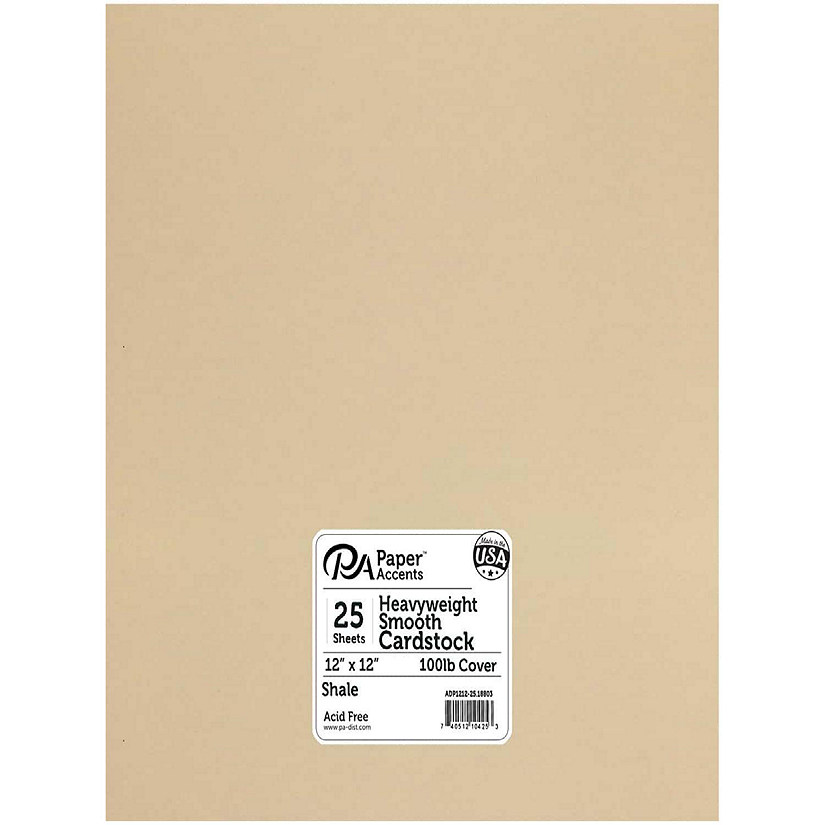 Paper Accents Cardstock 12x 12 Heavyweight Smooth 100lb Shale