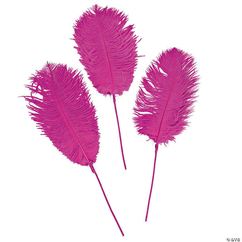 Hot Pink Ostrich Feathers | Oriental Trading