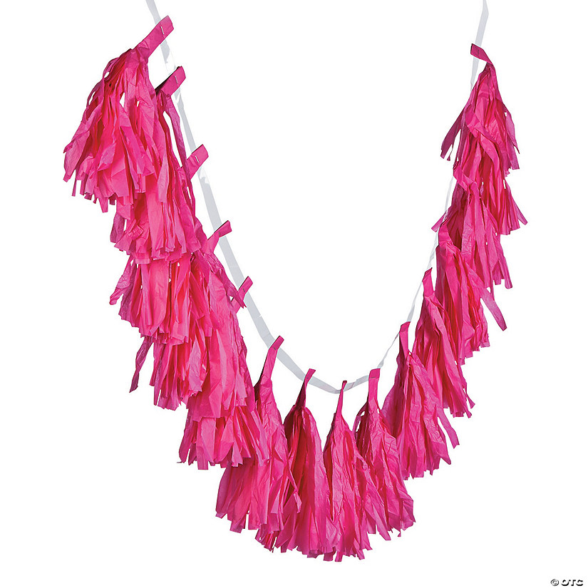 Hot Pink Tassel Garland Image