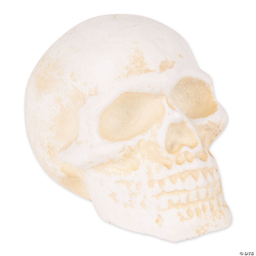 Human Skull Cast Iron Paperweight Image