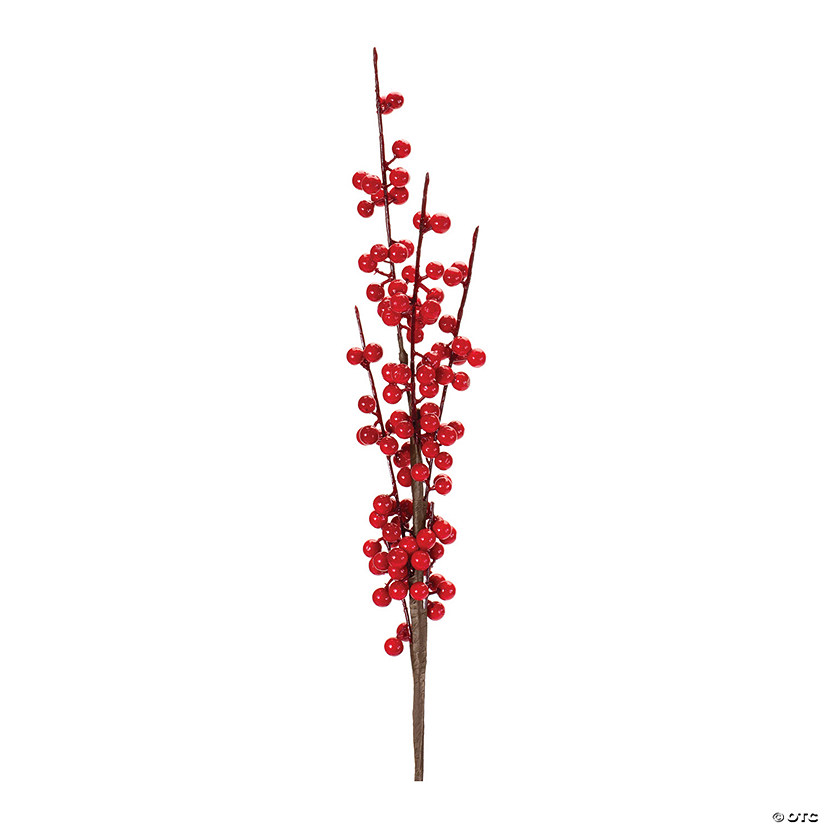 Berry Stem