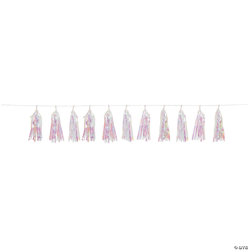 Iridescent Tassel Garland Image