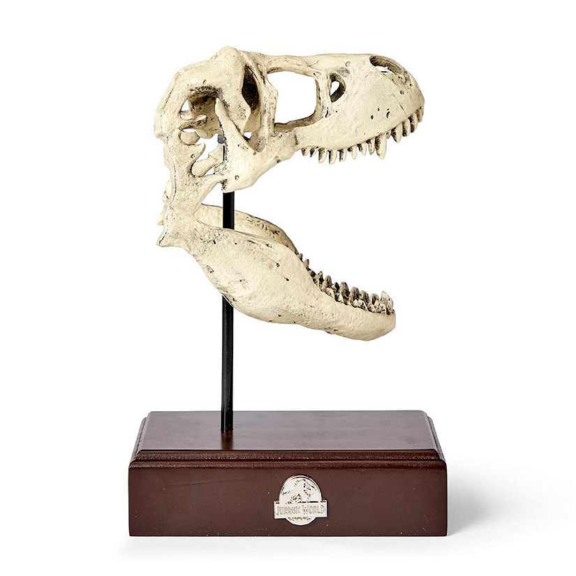 Jurassic World 9x8 Inch Tyrannosaurus Rex Skull Resin Replica Image