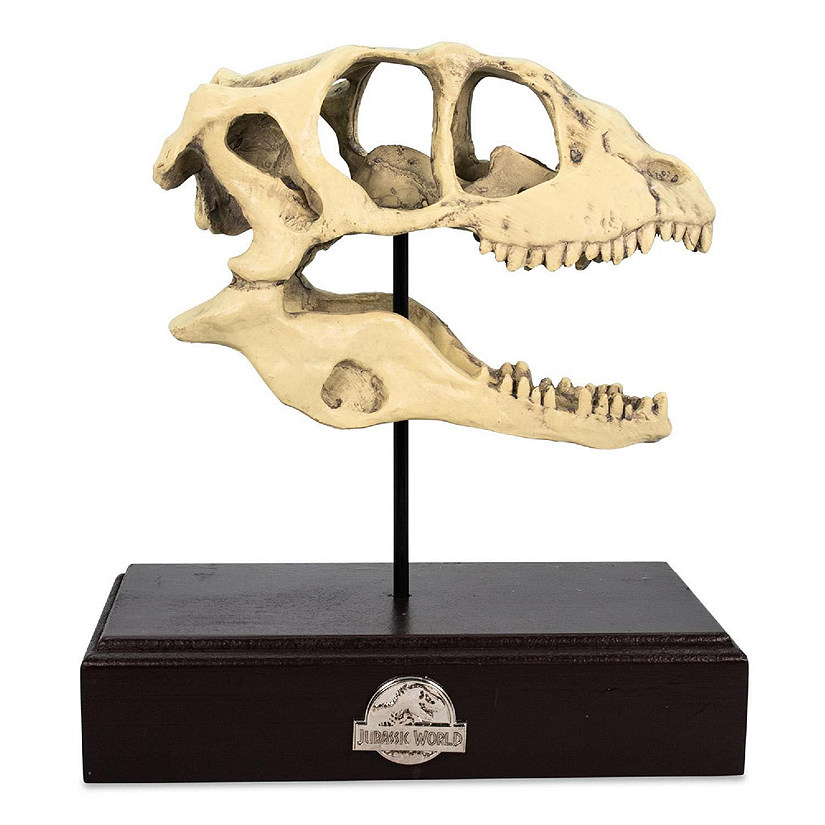 Jurassic World Velociraptor Skull Paperweight Replica  8 Inches Tall Image