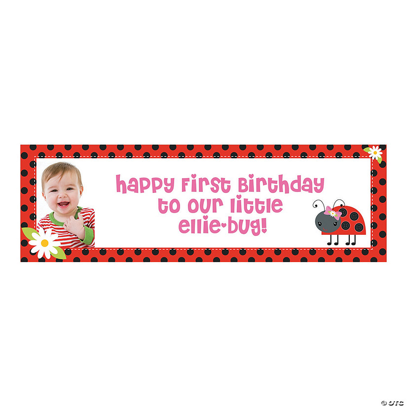 Ladybug Party Photo Custom Banner Image