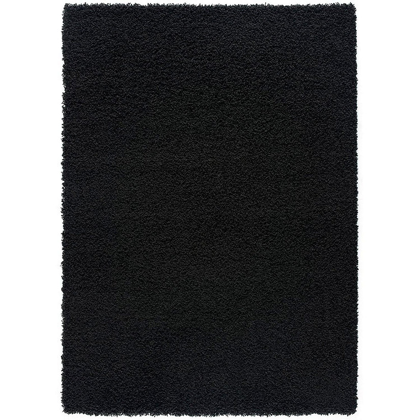 L'baiet Modern Indoor Rectangular Carpet, Pad, Mat Alora Black Shag 4' x 6' Rug Image